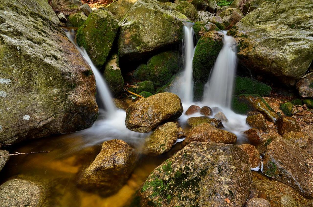Horska Chata Hubert Bedřichov Buitenkant foto