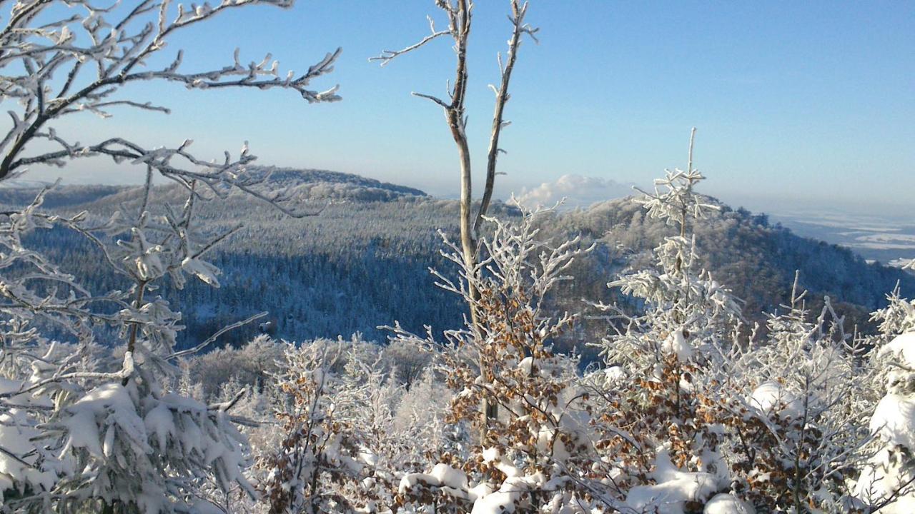 Horska Chata Hubert Bedřichov Buitenkant foto